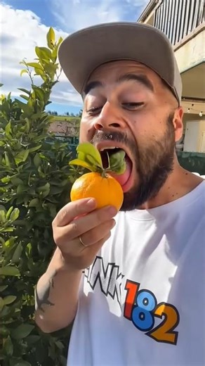 Want to try my oranges?#shorts #2611🍊🍊