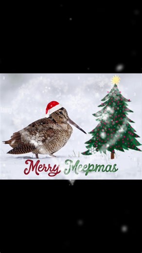 Merry Meepmas #fyp