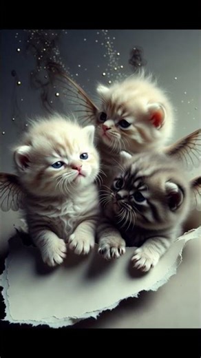 “Cute Cat with Wings