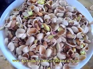 Pistachio Nuts cracking in AUTOMATIC ELECTRIC NUTCRACKER ~ www.automaticnutcracker.com