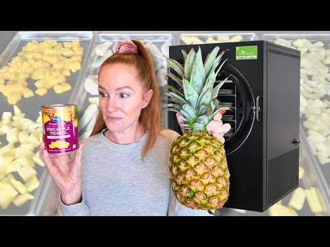 Canned vs Fresh Fruit — Which Freeze Dries BEST?! (Shocking Results)