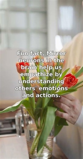 Brain's Mirror Neurons and Empathy Explained