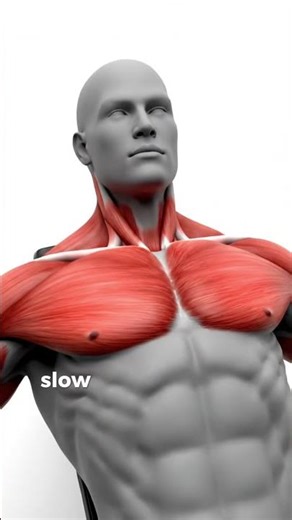 No Gym Chest & Triceps Workout (Dumbbells Only)