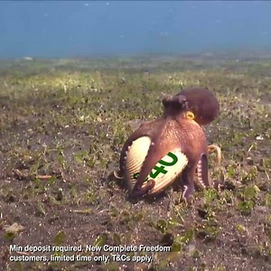 299 reactions · 43 shares | Sea $40. Get $40. Sea $40. Get $40. Get $40, when you open a new bank account online with St.George. Spend it on whatever. | St.George Bank | Facebook