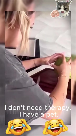 Funny Pets Moments: Voice Effects and Voiceovers