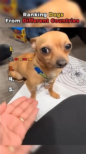 Ranking Dogs From Different Countries