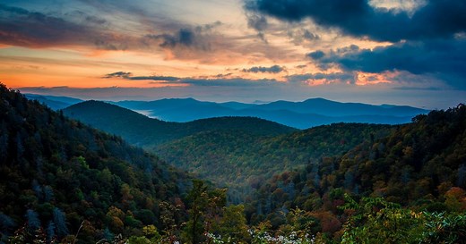 The Nature Conservancy in North Carolina