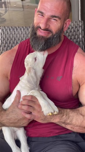 Nick Pulos TikTok: Transforming Cutness