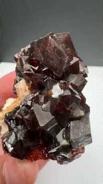 Garnet var. Andradite – Pakistan | Fine Art Minerals | Garnet |