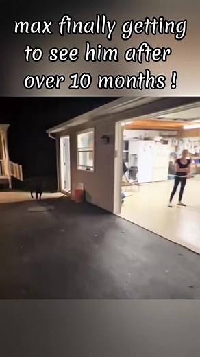 Emotional Reunion of Soldier and Pet Dog