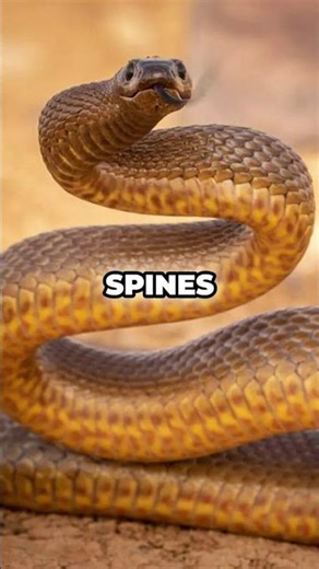 Venom vs. Poison: What's the Difference?