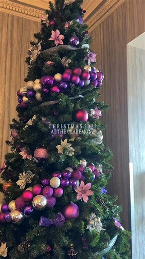 Christmas has arrived at The Claremont Hotel🎄Every sparkle tells a story of festive magic! From glistening garlands to the warm glow of fairy lights, every detail feels like a piece of Christmas joy❄️☃️ #TheClaremont #ChoiceHotelsLTD #BlackpoolHotels #ChristmasSpirit #ChristmasDecoration #ChristmassTree #HolidayStay | The Claremont Hotel