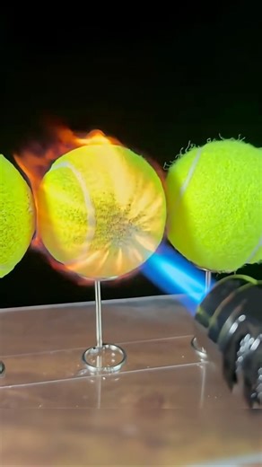 The man conducted an experiment burning a tennis ball 😳 #shorts
