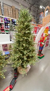 Hermosos árboles navideños con luz led en The Home Depot México #viralreels #Novedades #Shopping #virals #Tiendas #Comprando #navidad #Christmas #decoracion #arboldenavidad #christmastree | Comprando y probando