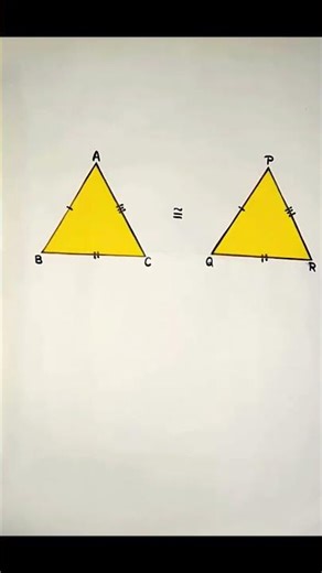 Class 9th maths project