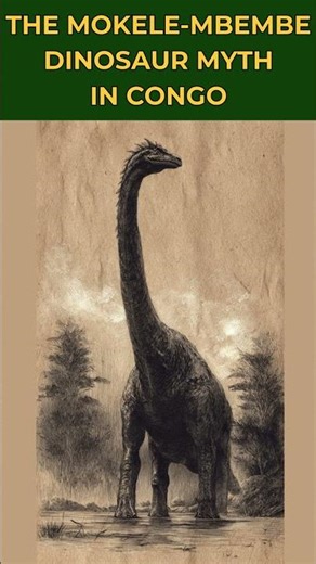 The Mokele Mbembe Dinosaur Myth in Congo