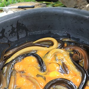 41K views · 245 reactions | Unique Food With Egg and Coconut | Rural Cooking | Facebook