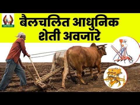 बैलचलित आधुनिक शेती अवजारे | #शेतीअवजारे #agriculture #sheti