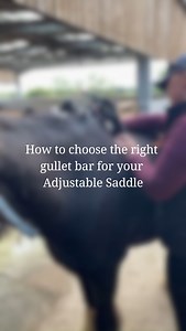 2.1K views | Choosing the Right Gullet Bar Size for Your Horse's...