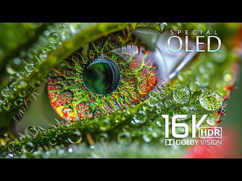 Amazing 16K Video ULTRA HD 1000 FPS