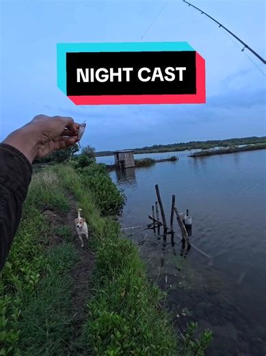 Pengalaman pertama Night Cast di Parkiran terahir Tlocor Genre mancing yang lagi hits di Sidoarjo #mancing #casting #barramundi #fishing #fishinglife