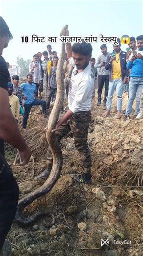 rock python 😱 resque video 9919414366🤙