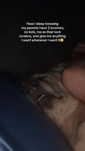 Living the Best Life with a Yellow Lab Puppy