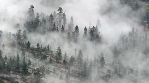 Yosemite Valley from Glacier Point