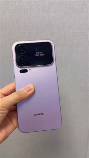 小米（MI）Xiaomi 17 Pro Max 徕卡光影大师人像 第五代骁龙8至尊版 6.9英寸120Hz阳光屏 小米手机17promax 冷烟紫 12G