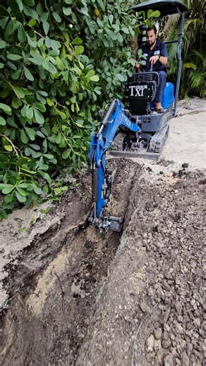 Typhon Terror XI digging trench