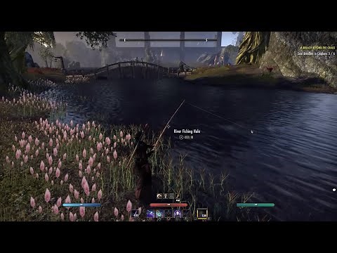 FISHING IN ELDER SCROLLS ONLINE (ESO FOR BEGINNERS)