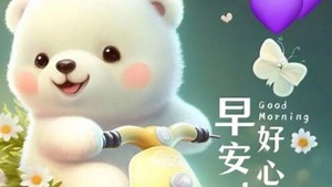 撒大大实打实的