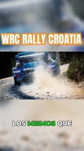This is why there were SO MANY PUNCTURES in the WRC Rally of Croatia