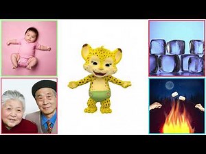 Word Party Songs S01E06 Opposites