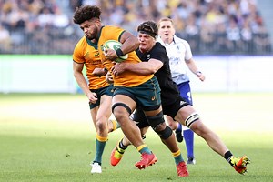 The Rugby Championship: How to watch Wallabies v Springboks & All Blacks v Argentina, teams and more