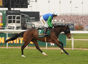 Farewell to Grand National hero Comply Or Die - Horse & Hound