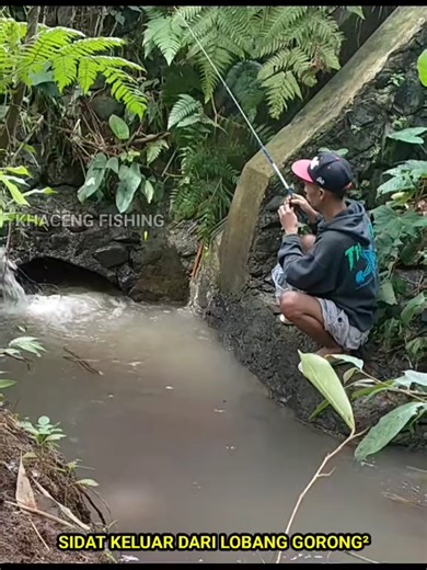 Mancing Ikan Lele Di Kalimantan: Petualangan Tak Terduga