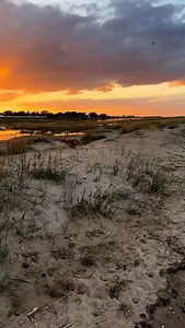 Fabulous zoomies in the dunes at sunset. FITTIES BEACH is doggy friendly all year round. | Visit Cleethorpes