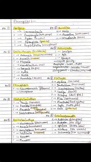 The Neet Ninja | Biology ☝️ trick 📝 . . . . . . . . . . . . #ntaneet #competitiveexams #pw #trick #instagood #instagood #allen #unacademy #instagood... | Instagram