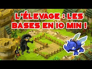 [DOFUS] BREEDING TUTORIAL - The BASICS in 10 minutes!