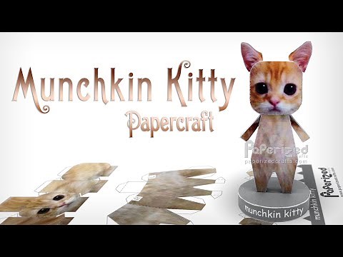 Munchkin Kitty (El Gato) Paperized