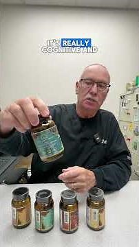 Lion’s Mane Mushroom Benefits for Brain and Nerve Health