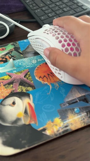 My new skytech gaming keyboard and mouse