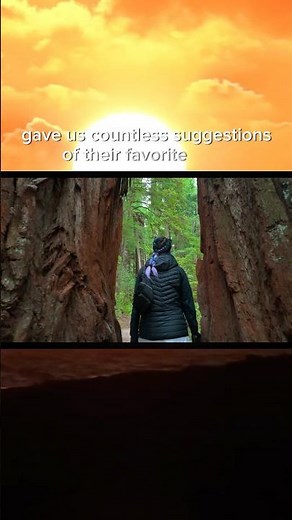 🥾 Redwood National Park’s Most Epic Hikes #vlog #hiking