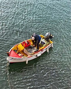 13K views | Sarah Wilson on Reels | Facebook