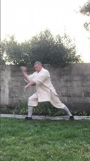 Huang Fei Hong 黄飞鸿 style #kungfu #功夫 #少林延华