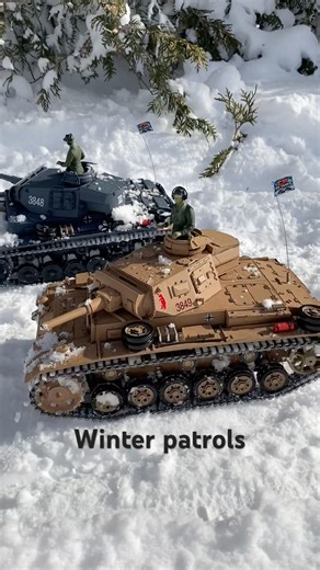 Tiger 1 Leads a Winter Ambush