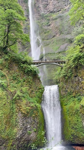 Multnomah Falls and Wahkeena Falls Loop #oregon #hiking #multnomahfalls