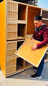 Four part breeding setup with flying zone #reelsvideoシ #fblifestyle #racingpigeons | Amazing Loft