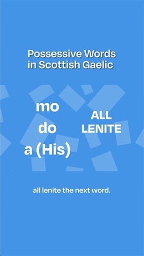 Possessive Words in Gàidhlig | SpeakGaelic